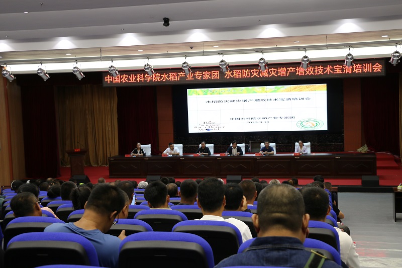C2023091201.jpg